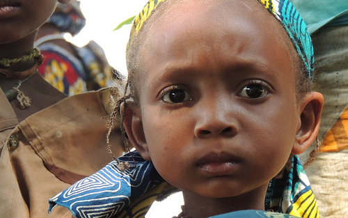 Flee or Die. Refugees from CAR in Cameroon